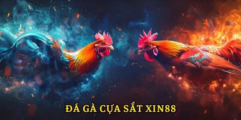 Đá gà cựa sắt xin88